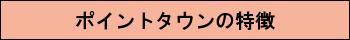 ポイントタウンの特徴